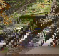 Adelaide Highlights Hahndorf  McLaren Vale Wine Tasting and Sightseeing Tour - Accommodation Melbourne