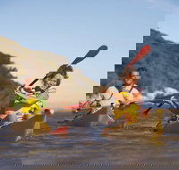 Kangaroo Island Self-Guided Kayaking on the Harriet River - Accommodation Melbourne