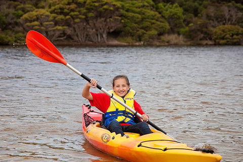 Kangaroo Island Self-Guided Kayaking On The Harriet River - Accommodation Melbourne 1