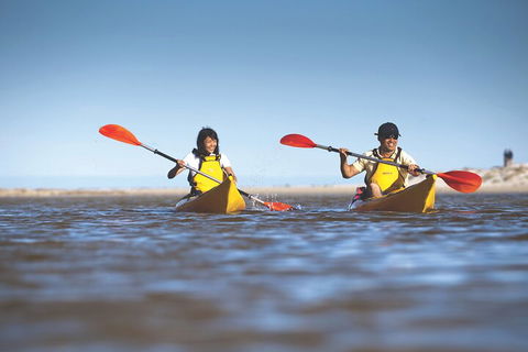 Kangaroo Island Self-Guided Kayaking On The Harriet River - Accommodation Melbourne 2