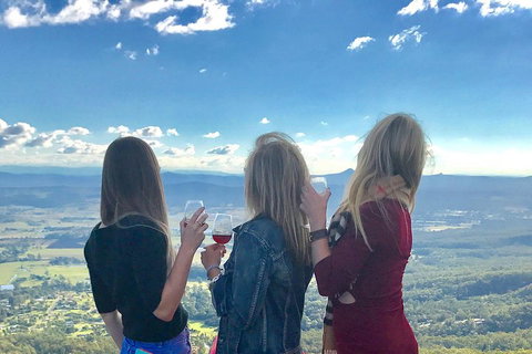 Mount Tamborine Wine Tasting Tour From Brisbane Or The Gold Coast - Accommodation Melbourne 1