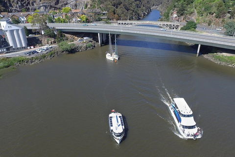 2.50 Hour Afternoon Discovery Cruise Including Cataract Gorge Departing At 3 Pm - Melbourne 4u 5