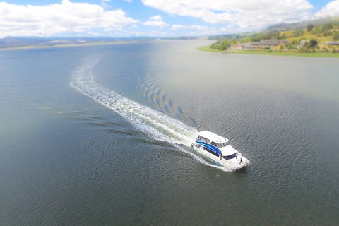 2.5 Hour Afternoon Discovery Cruise Including Cataract Gorge Departs At 1: 30 Pm - Melbourne 4u 0
