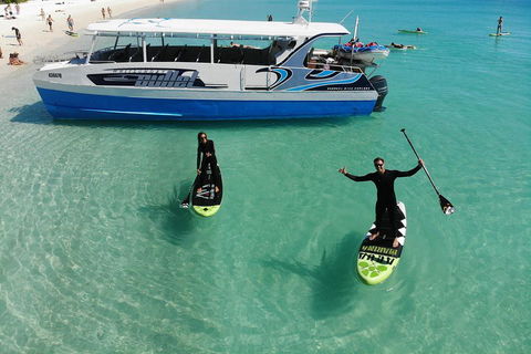 Whitsunday Bullet Day Trip - Whitehaven Beach And Snorkelling - Accommodation Melbourne 4