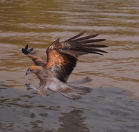 Litchfield and Jumping Crocodiles Full Day Trip from Darwin - Accommodation Melbourne