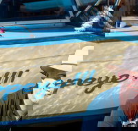 Torrens River Cruise in Adelaide - Accommodation Melbourne