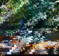 Aquaduck  Your choice of Gold Coast Rainforest Tour - Melbourne 4u