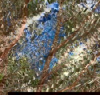 Kangaroo Island 4WD Tour - Best of KI in 2 Days - Accommodation Melbourne