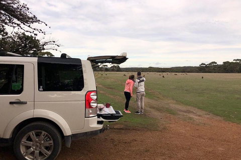 Kangaroo Island 4WD Tour - Flinders Chase - Accommodation Melbourne 3