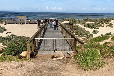 Kangaroo Island 4WD Tour - Best Of KI - Melbourne 4u 2