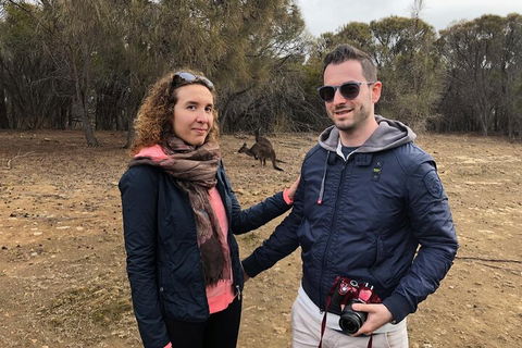 Kangaroo Island 4WD Tour - Best Of KI - Melbourne 4u 3