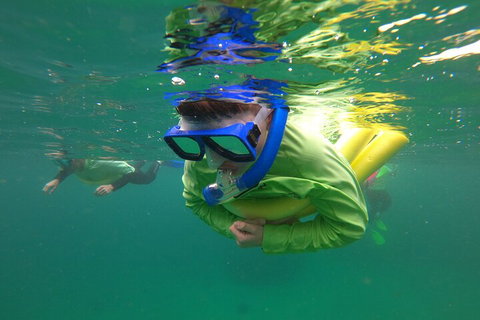 Manly Snorkel Trip And Nature Walk With Local Guide - Accommodation Melbourne 5