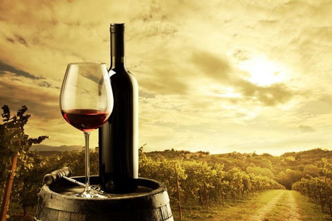 Barossa Valley Cellar Doors Luxury Wine Tour - Accommodation Melbourne 0