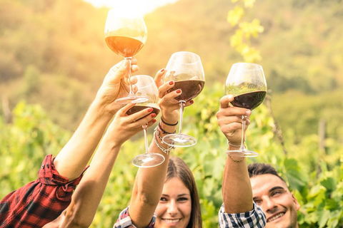 Barossa Valley Cellar Doors Luxury Wine Tour - Accommodation Melbourne 1