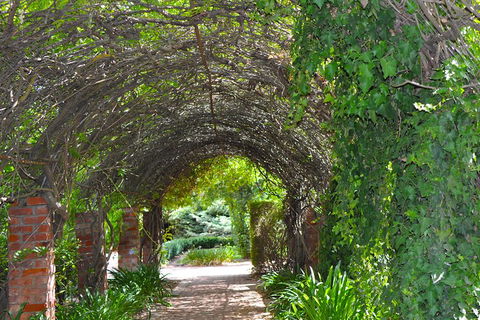 Barossa Valley Cellar Doors Luxury Wine Tour - Accommodation Melbourne 3