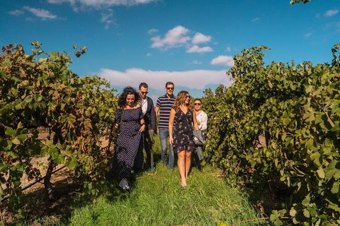 Barossa Valley Private Tour (from 2 To 11 People) - Accommodation Melbourne 0
