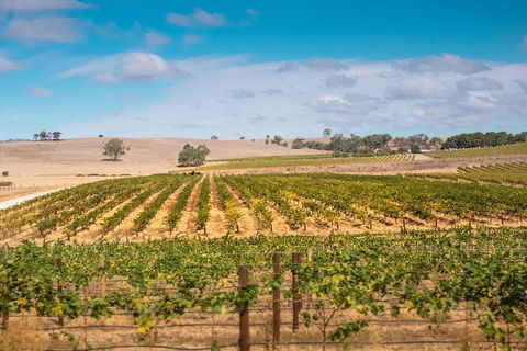 Barossa Valley Private Tour (from 2 To 11 People) - Accommodation Melbourne 2
