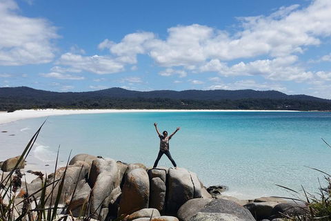 Tasmania 4 Day East Coast + Launceston - Accommodation Melbourne 1