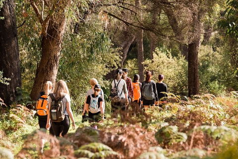 Half-Day Yanchep Ghost House Wilderness Guided Hike Tour - Accommodation Melbourne 0