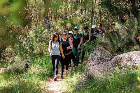 Half-Day Yanchep Ghost House Wilderness Guided Hike Tour - Accommodation Melbourne 3