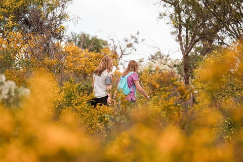 Half-Day Yanchep Ghost House Wilderness Guided Hike Tour - Accommodation Melbourne 4