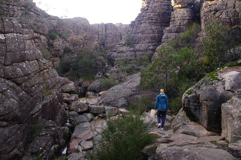 Private Grampians Day Tour - Accommodation Melbourne 3