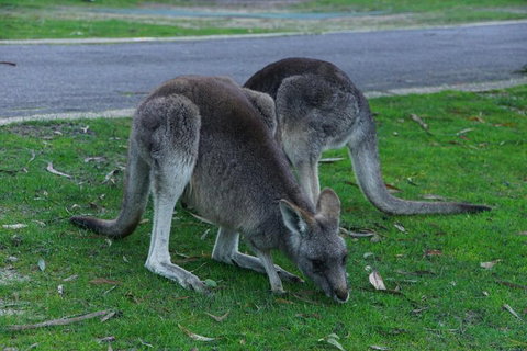 Private Grampians Day Tour - Accommodation Melbourne 5