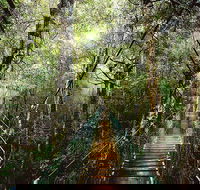 O'Reilly's  Lamington National Park from Gold Coast - Melbourne 4u
