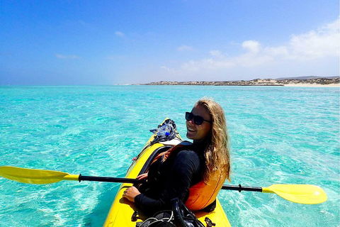 Lagoon Explorer - Ningaloo Reef Full-Day Kayaking And Snorkeling Adventure - Accommodation Melbourne 1