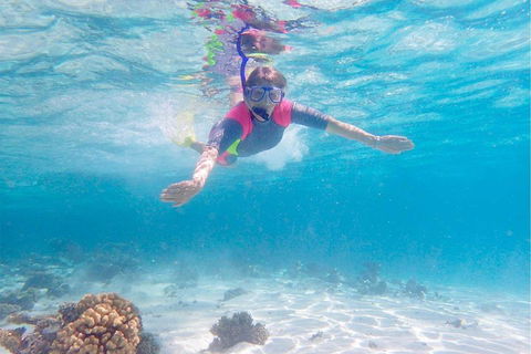 Lagoon Explorer - Ningaloo Reef Full-Day Kayaking And Snorkeling Adventure - Accommodation Melbourne 5