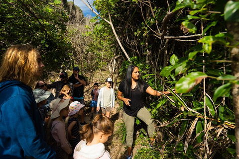 Cape Byron Aboriginal Tour - Melbourne 4u 4