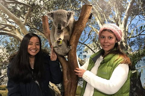 Australia Multi-City Attractions Pass - Accommodation Melbourne 3