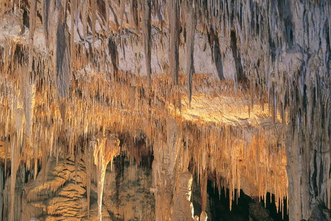 Margaret River, Caves, Wine And Cape Leeuwin Lighthouse Tour From Perth - Accommodation Melbourne 3