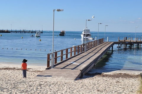 Monkey Mia Dolphins & Shark Bay Air Tour From Perth - Accommodation Melbourne 0