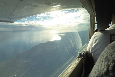 Monkey Mia Dolphins & Shark Bay Air Tour From Perth - Accommodation Melbourne 1