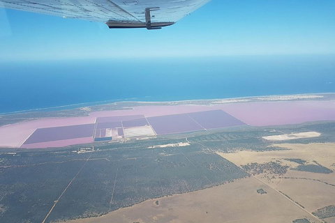 Monkey Mia Dolphins & Shark Bay Air Tour From Perth - Accommodation Melbourne 5