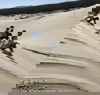 Port Stephens Bush Beach and Sand Dune 4WD Tag-Along Tour - Accommodation Melbourne