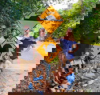 Cape Tribulation Daintree Rainforest and Wildlife Tour - Accommodation Melbourne