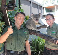 Virtual Interactive Australian Wildlife Tour With Private Guide-Wildlife Habitat - Accommodation Melbourne