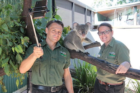 Virtual Interactive Australian Wildlife Tour With Private Guide-Wildlife Habitat - Accommodation Melbourne 0