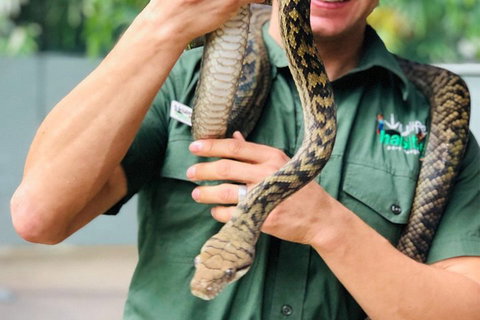 Virtual Interactive Australian Wildlife Tour With Private Guide-Wildlife Habitat - Accommodation Melbourne 1