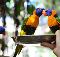 Wildlife Habitat Port Douglas - Accommodation Melbourne