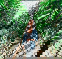 Yarra Valley Local Produce and Wine Tasting Tour - Accommodation Melbourne