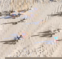 Unlimited Sandboarding - Accommodation Melbourne