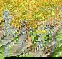 Margaret River Indulge and Discover Day Tour - Accommodation Melbourne