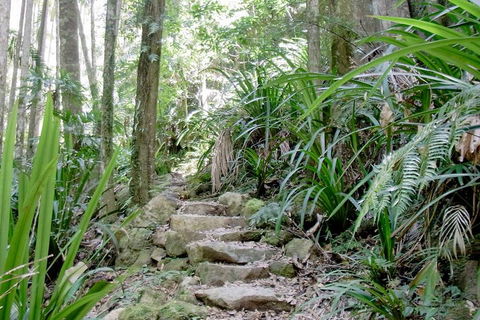 Byron Bay Combo: Minyon Falls And Hinterland Day Trip And Learn To Surf At Byron Bay - Accommodation Melbourne 3