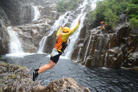 Behana Canyon Rainforest And Waterfall Experience - Accommodation Melbourne 3