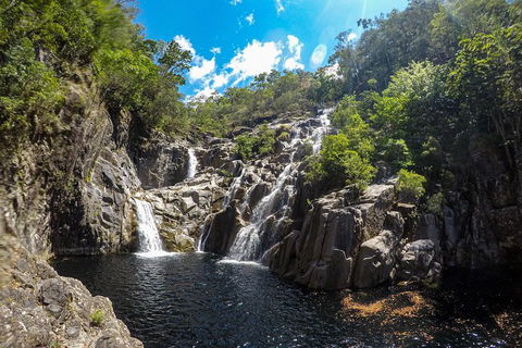Behana Canyon Rainforest And Waterfall Experience - Accommodation Melbourne 5