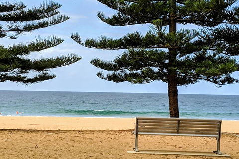 Manly & Sydney's Northern Beaches With 'Personalised Sydney Tours' - Accommodation Melbourne 0