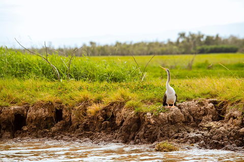 Darwin City Sights And Jumping Crocodile Cruise - Melbourne 4u 2